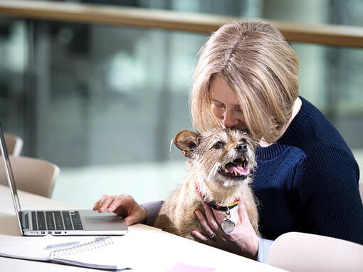 Woman and dog at laptop